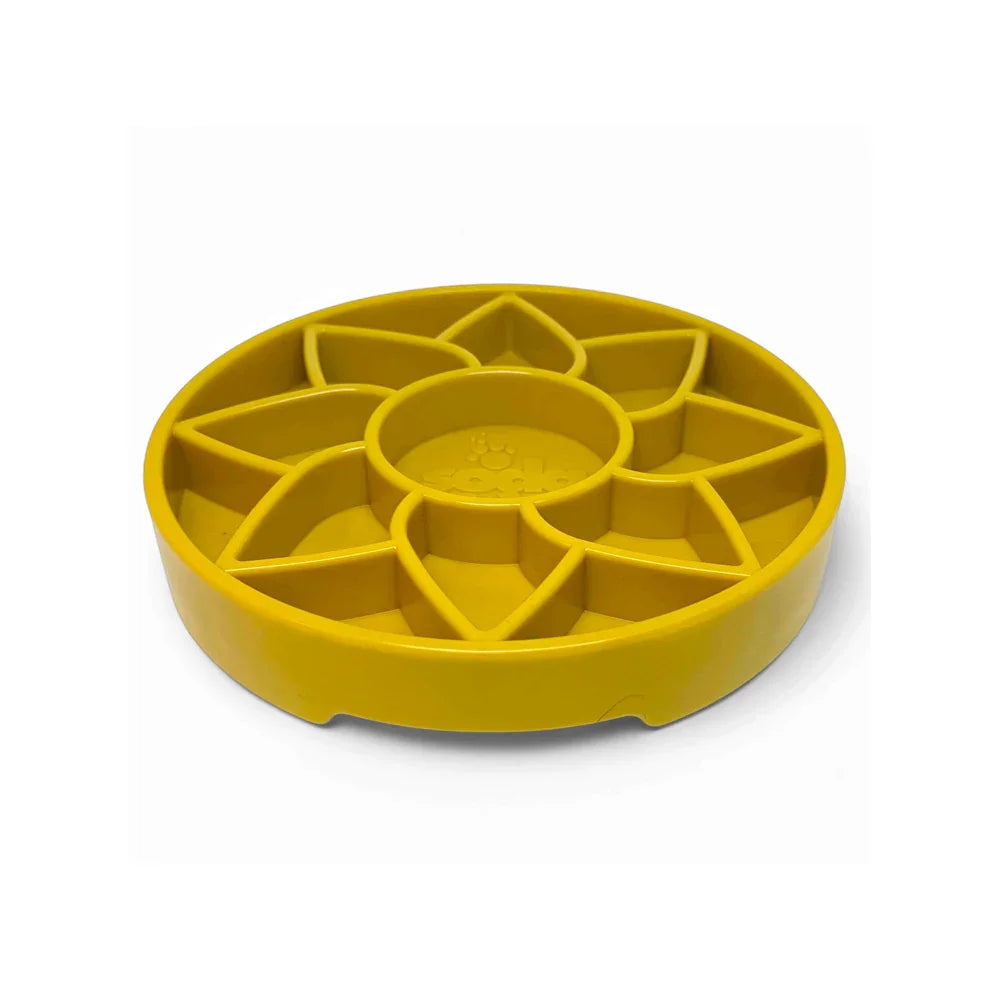 gamelle sodapup sunflower pour chien etray