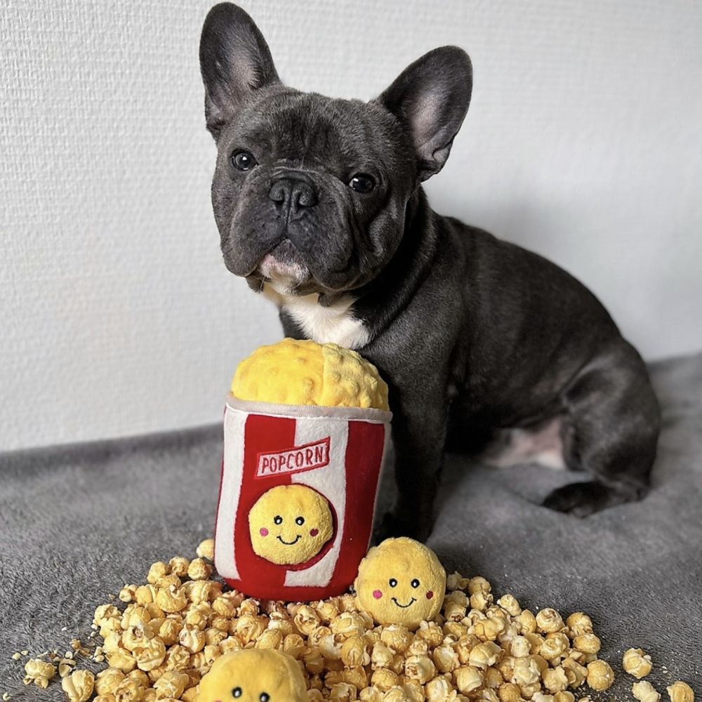 peluche de flair popcorn pour chien