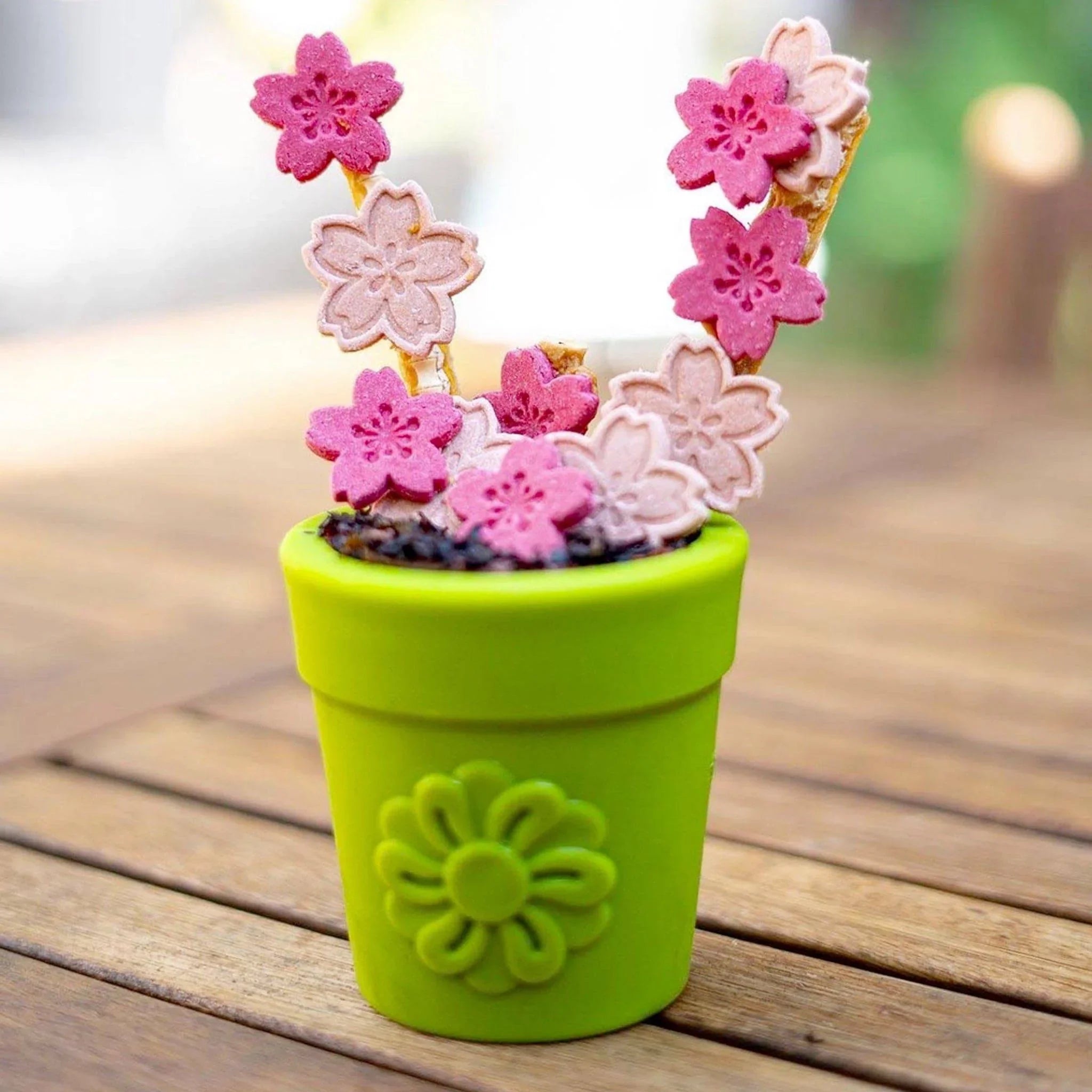 pot à fleur Sodapup
