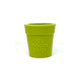 pot à fleur Flower Pot Sodapup