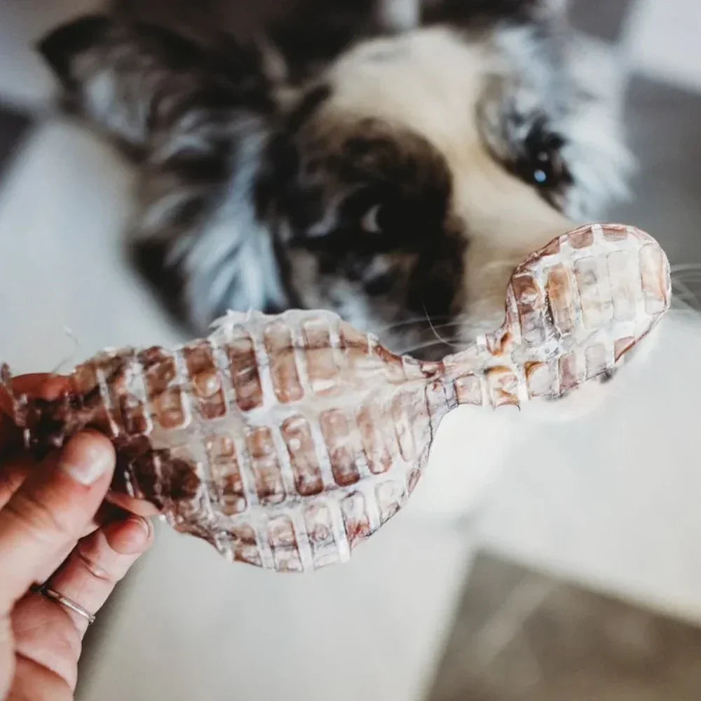 Poulpe déshydraté – Mastication gourmande pour chien