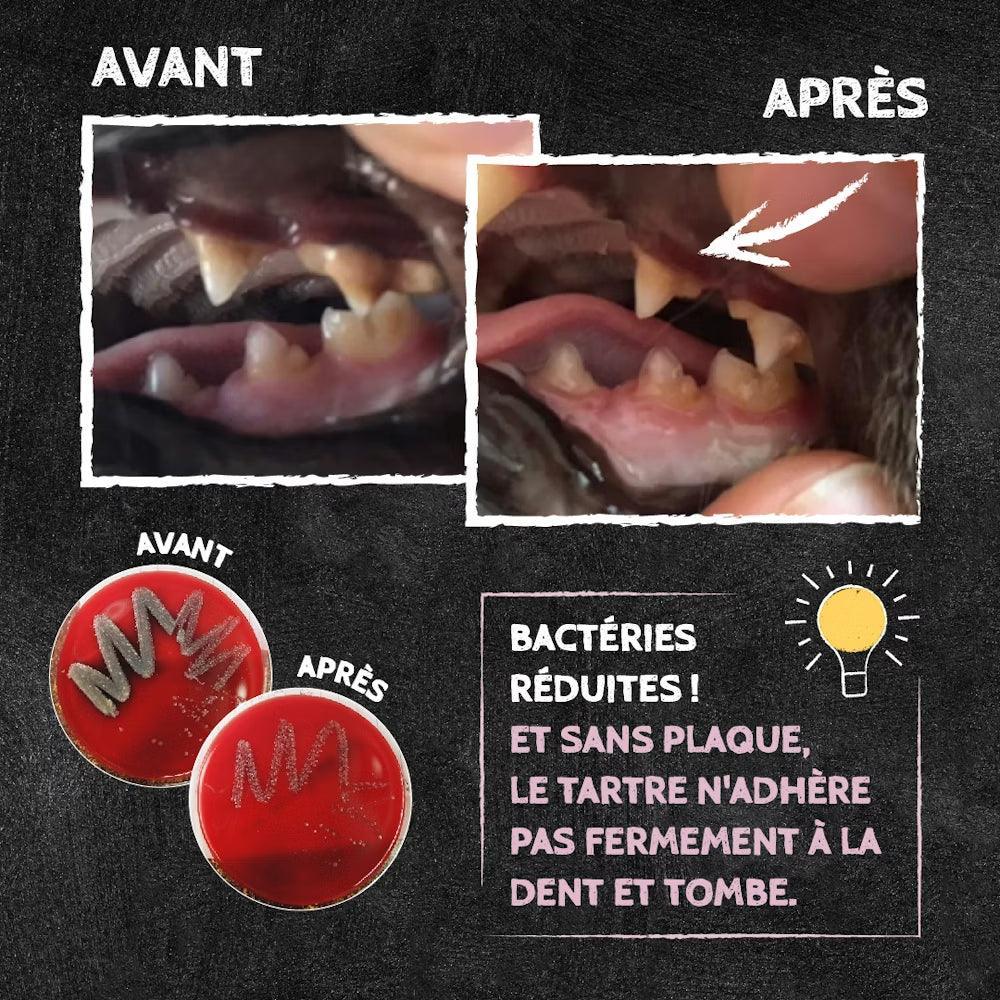 Snack anti-tartre – Mminis 65g – QCHEFS
