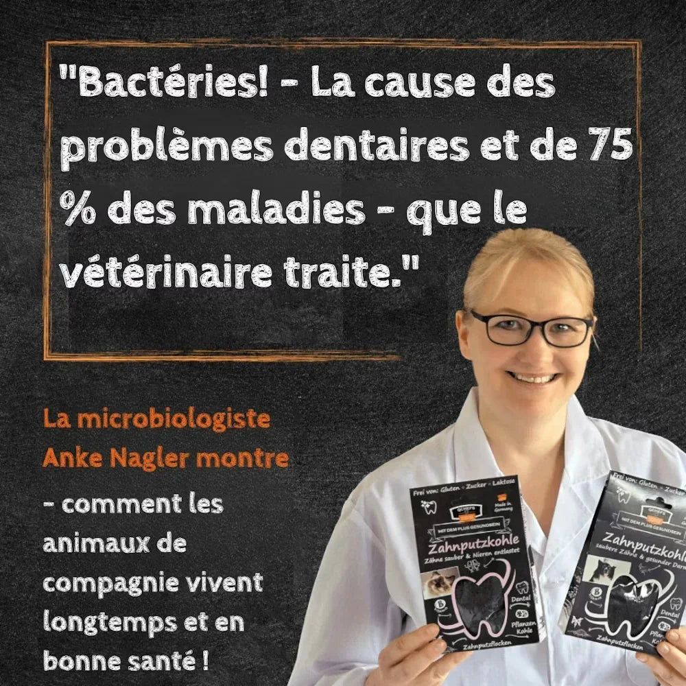 Snack anti-tartre – Mminis 65g – QCHEFS