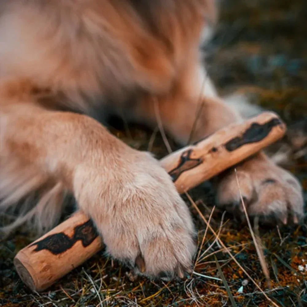 baton d'olivier pour chien