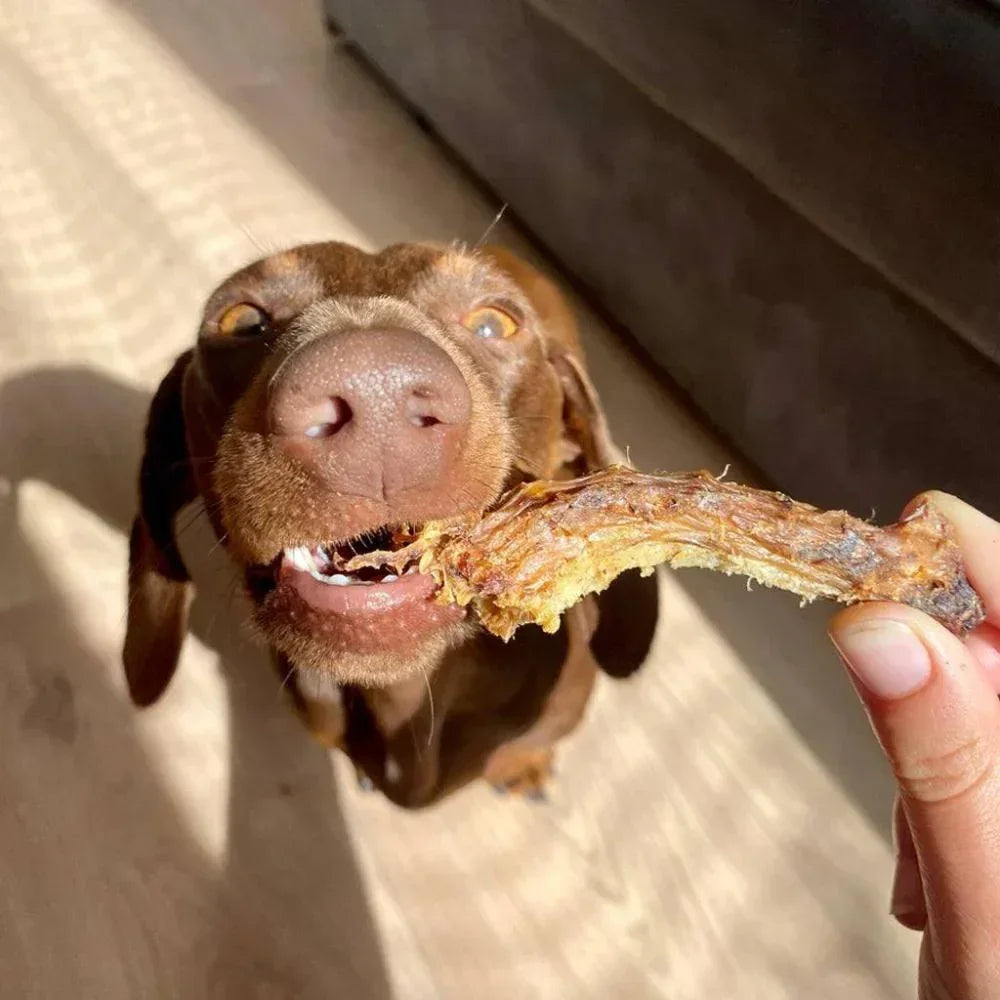 cou de poulet pour chiens