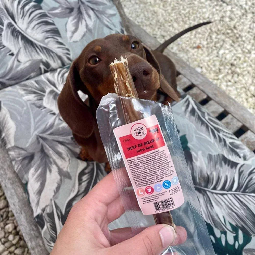 nerf de boeuf pour chien