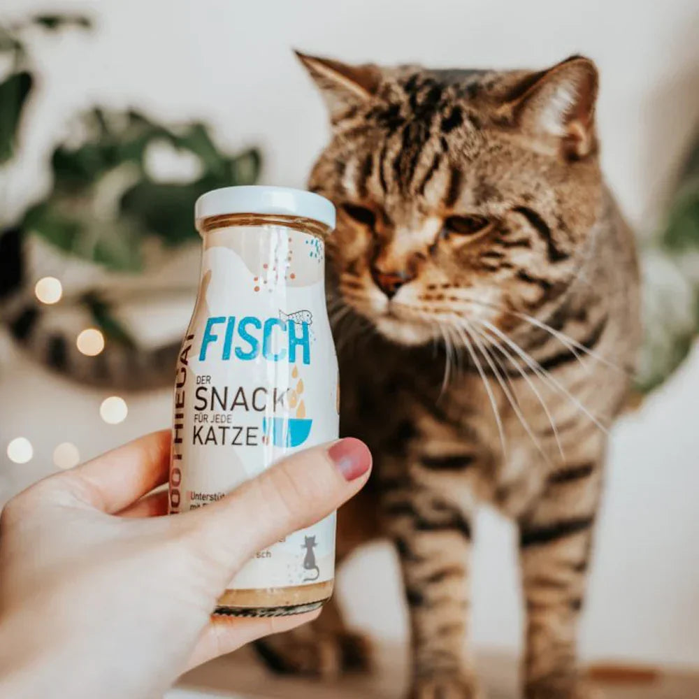 smoothiecat poisson