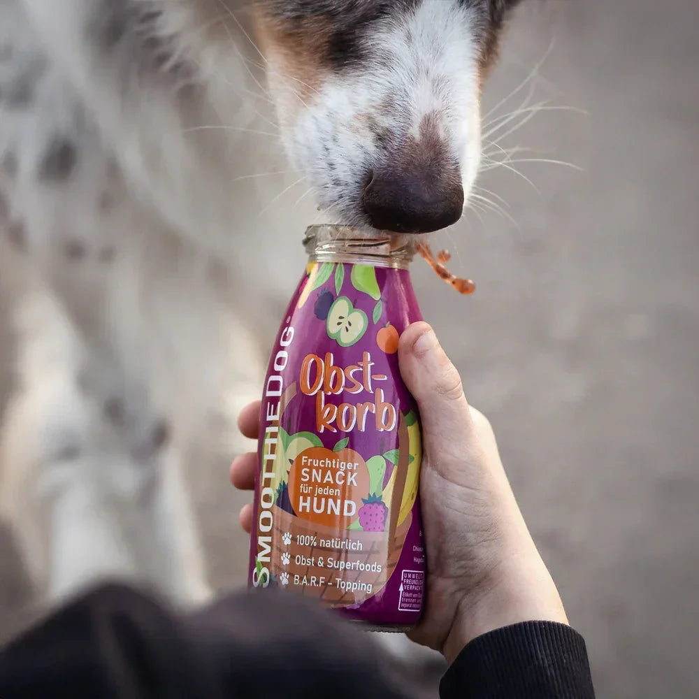Smoothie pour chiens – Corbeille de fruits – 250mL