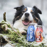 Edition limitée – Smoothie pour chien – Winter Edition – Gibier