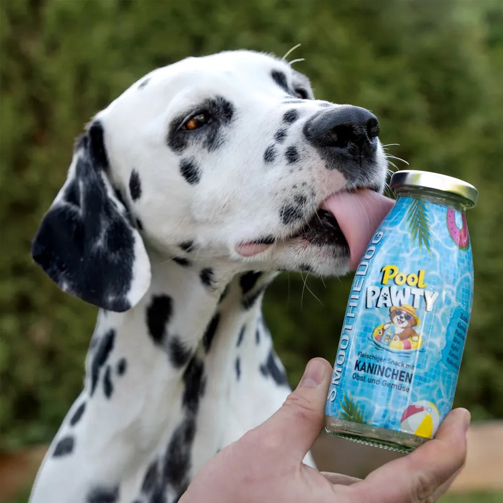 Smoothie pour chiens – Pool Pawty – 250mL – Édition limitée été