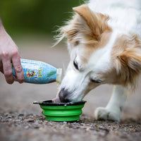Smoothie pour chiens – Pool Pawty – 250mL – Édition limitée été