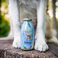 Smoothie pour chiens – Pool Pawty – 250mL – Édition limitée été
