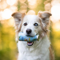 Smoothie pour chiens – Pool Pawty – 250mL – Édition limitée été