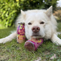 Smoothie pour chiens – Corbeille de fruits – 250mL