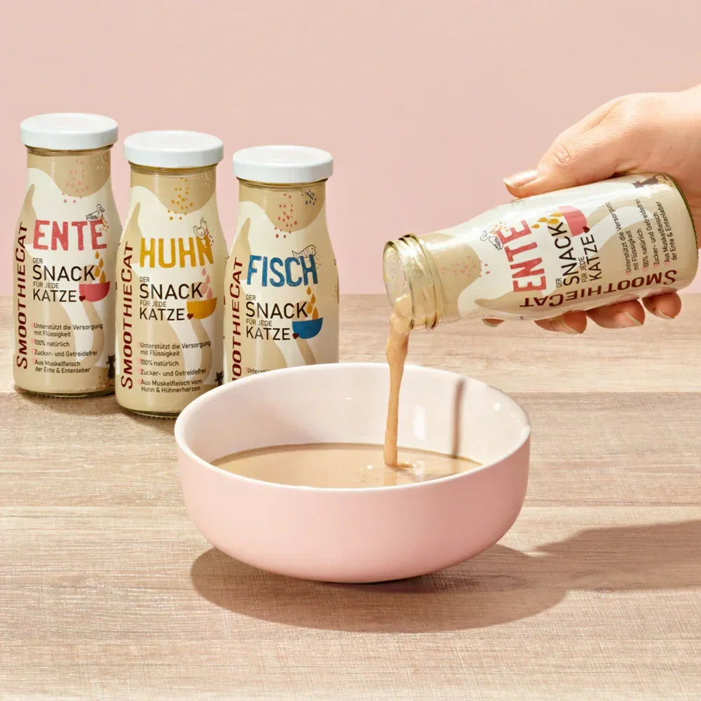 Smoothie pour chat – Plusieurs saveurs disponibles – 150mL