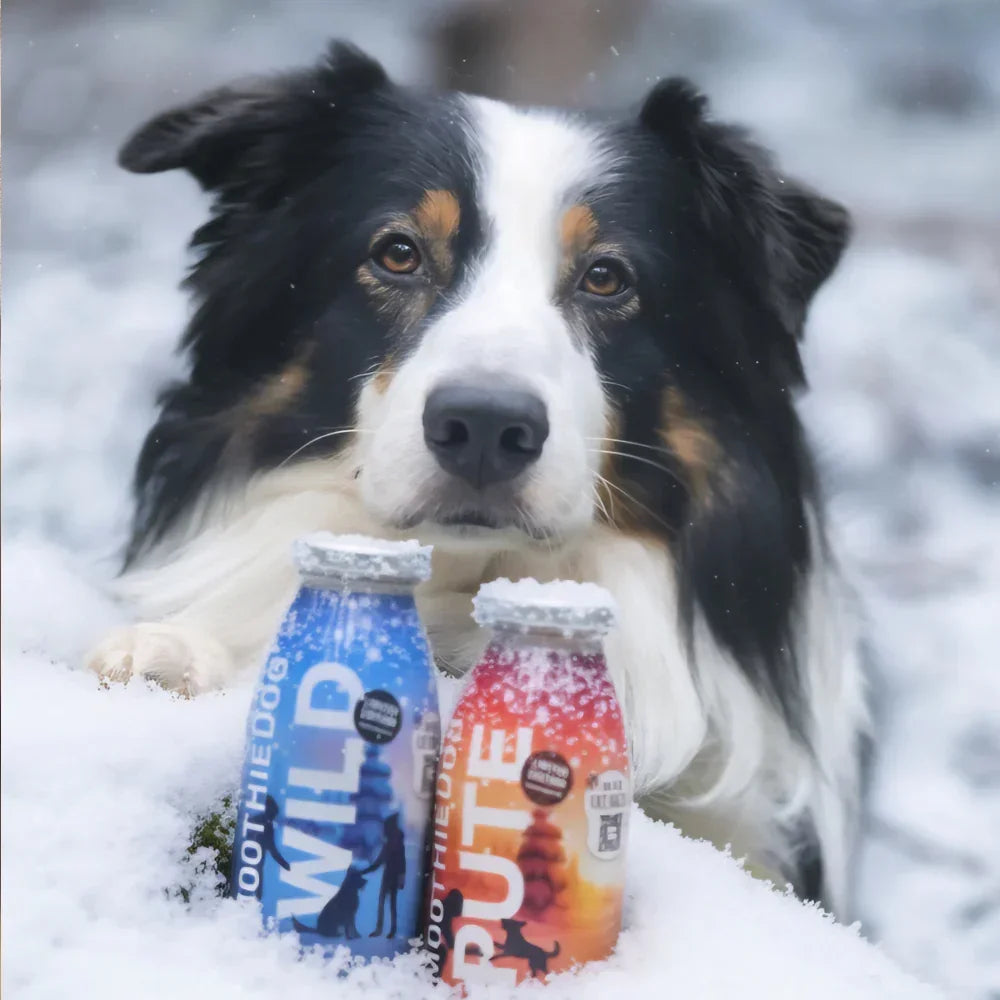 Limited Edition – Dog Smoothie – Winter Edition – Turkey