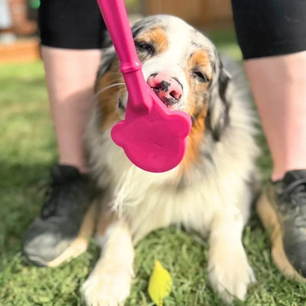 Bâtonnet de léchage eStick – Jouet d'enrichissement à main pour chien – Sodapup®