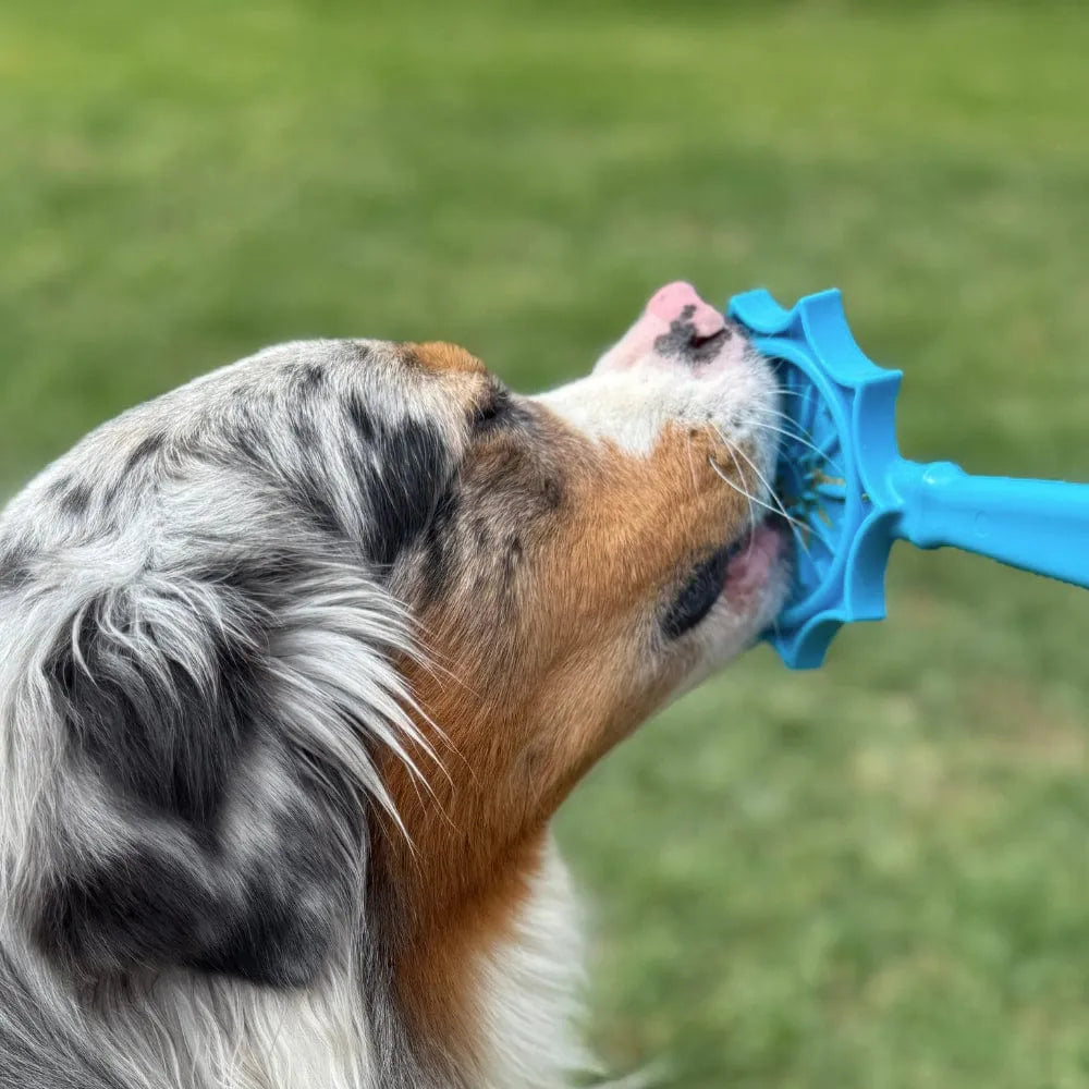 Bâtonnet de léchage eStick – Jouet d'enrichissement à main pour chien – Sodapup®