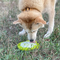Plateau d'enrichissement anti-glouton Water Frog – Shallow eTray grenouille pour chien – Sodapup