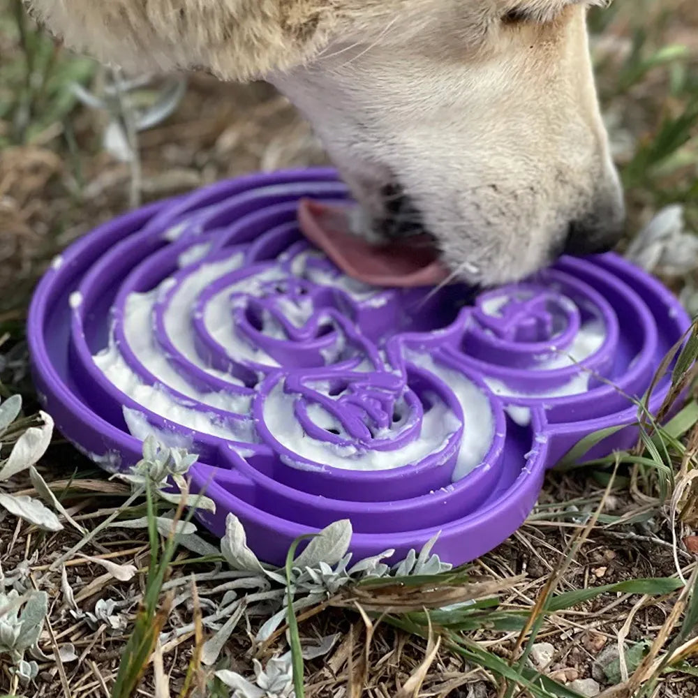 Plateau d'enrichissement anti-glouton Water Frog – Shallow eTray grenouille pour chien – Sodapup