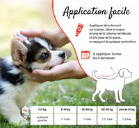 PHA SpotOn – Pipettes antiparasitaires naturelles pour chien – 2 x 2 mL