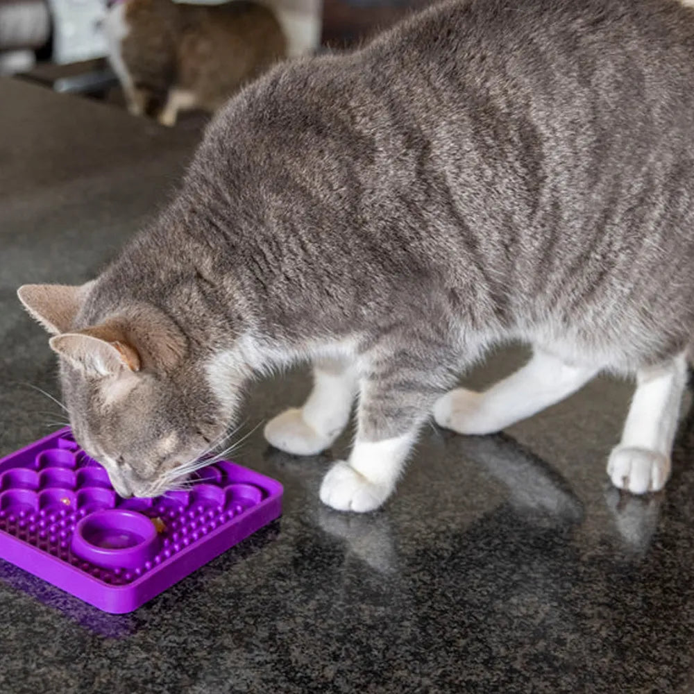 Lickimat Catster – Tapis de léchage pour chat – VENTE FLASH