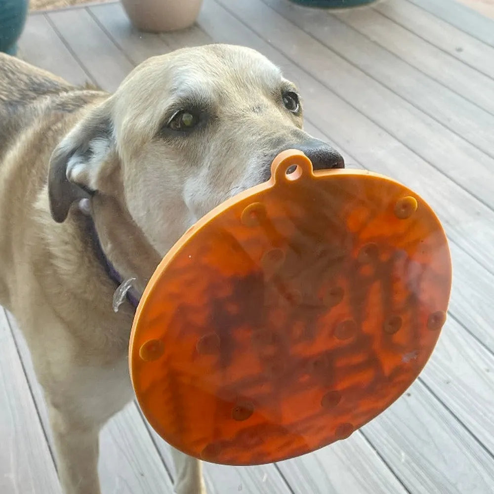 Tapis de léchage Van de Camping – eMat à ventouses pour chien – Sodapup®