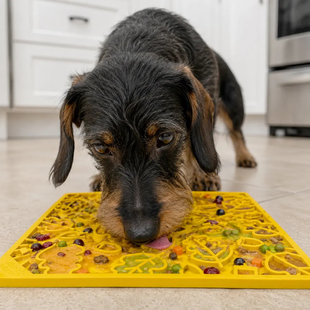 Tapis de léchage Feuilles d'Automne – eMat pour chien – Sodapup®
