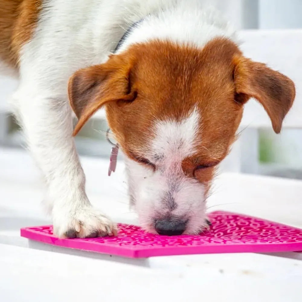 Tapis de léchage Flower Power – eMat pour chien et chat – Sodapup®