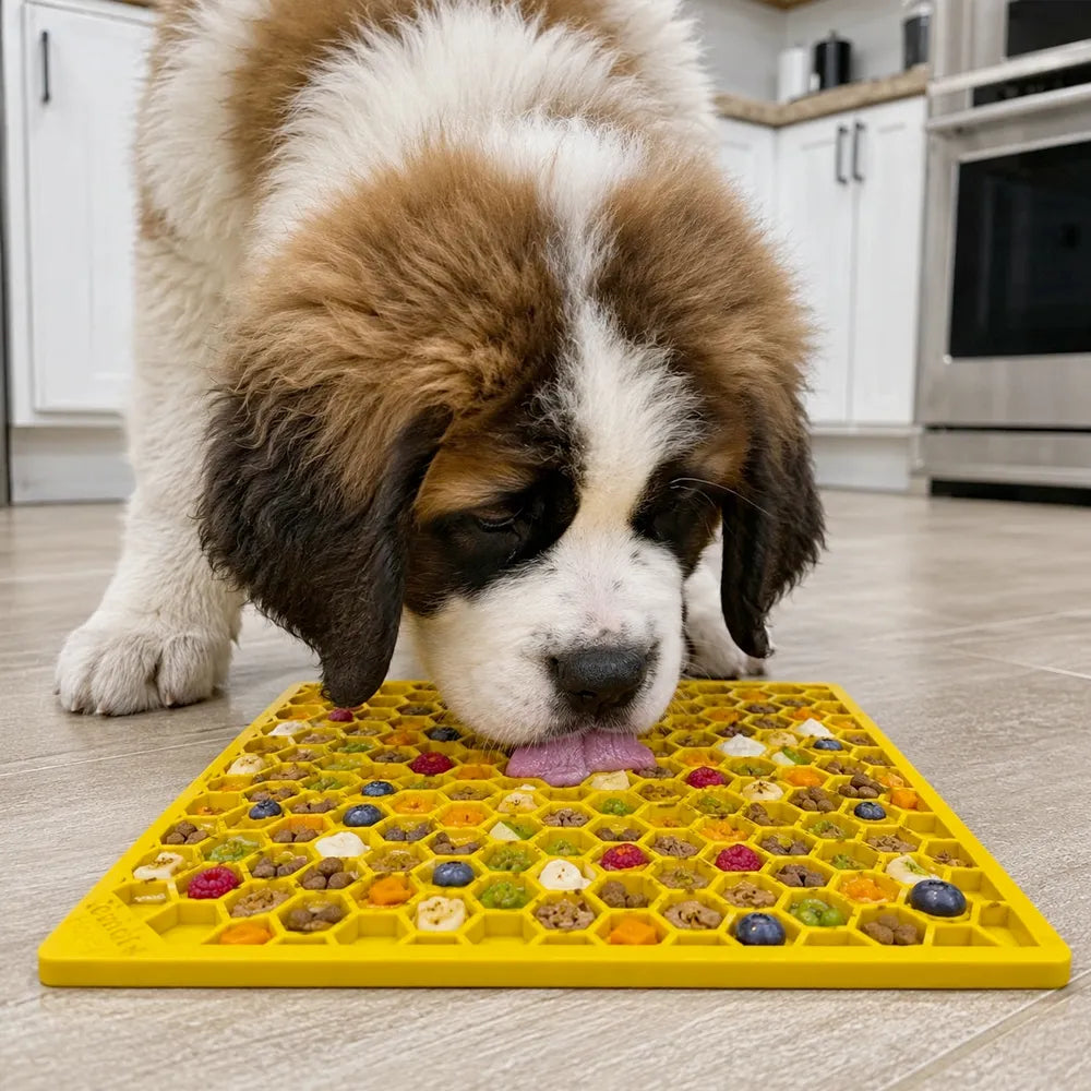 Tapis de léchage Nid d'Abeille – eMat pour chien et chat – Sodapup®