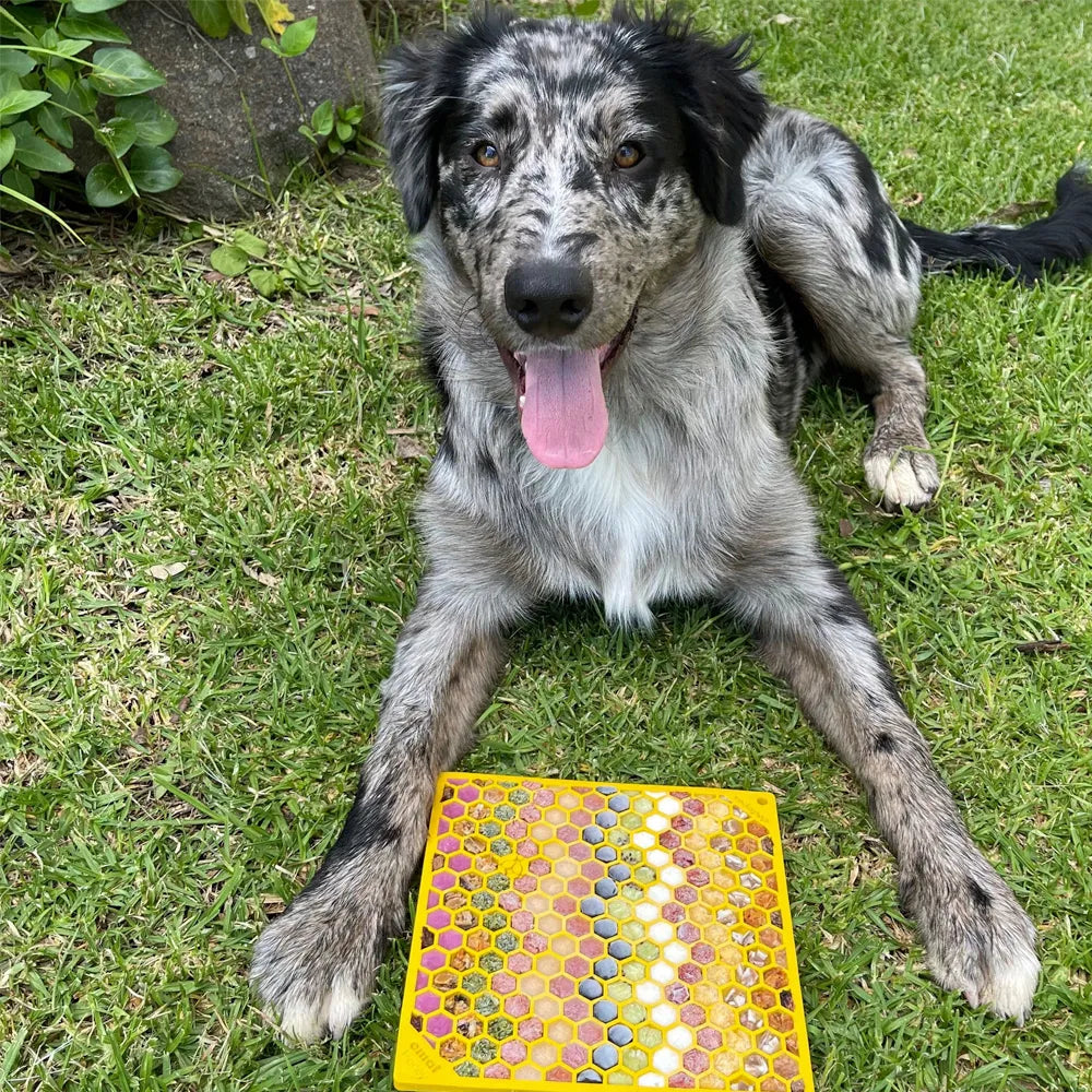 Tapis de léchage Nid d'Abeille – eMat pour chien et chat – Sodapup®