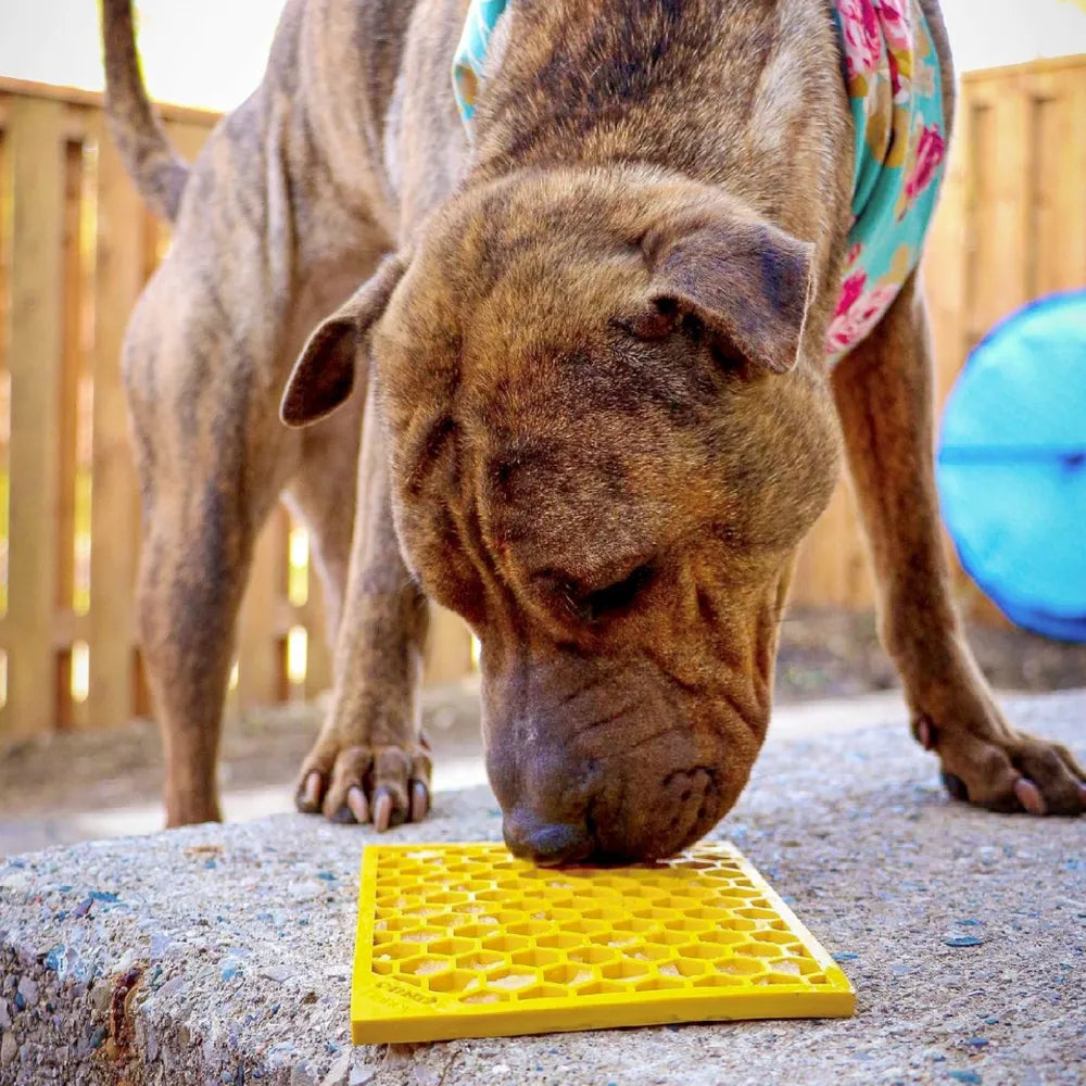 Tapis de léchage Nid d'Abeille – eMat pour chien et chat – Sodapup®