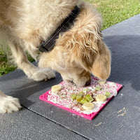Tapis de léchage Puzzle – eMat pour chien – Sodapup®