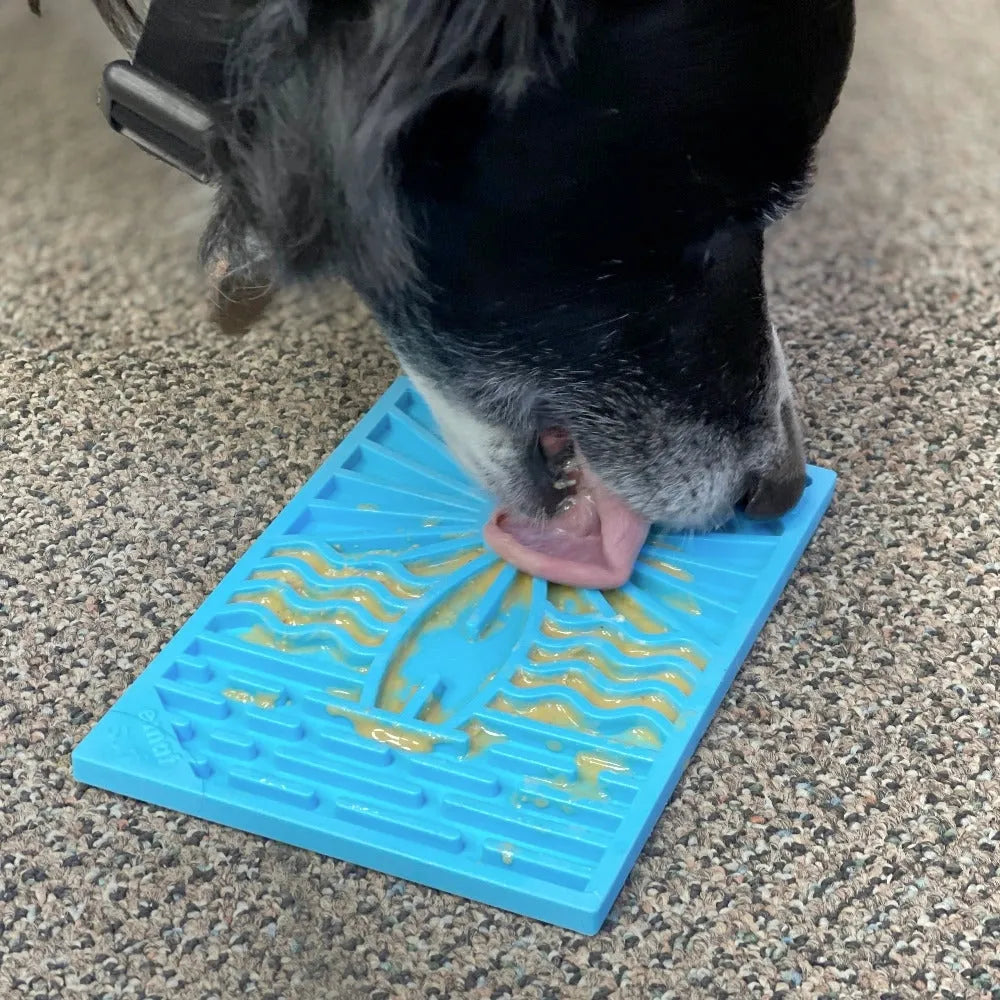 Tapis de léchage Surf – eMat mini pour chien et chat – Sodapup®
