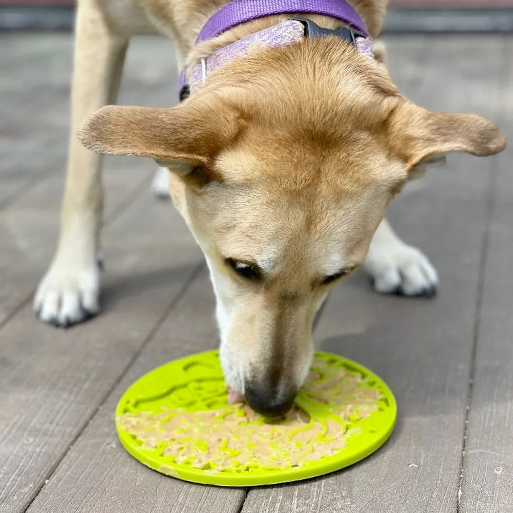 Tapis de léchage Arbre de Vie – eMat à ventouses pour chien – Sodapup®