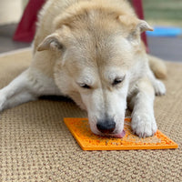 Tapis de léchage Zombie – eMat pour chien – Sodapup® Halloween