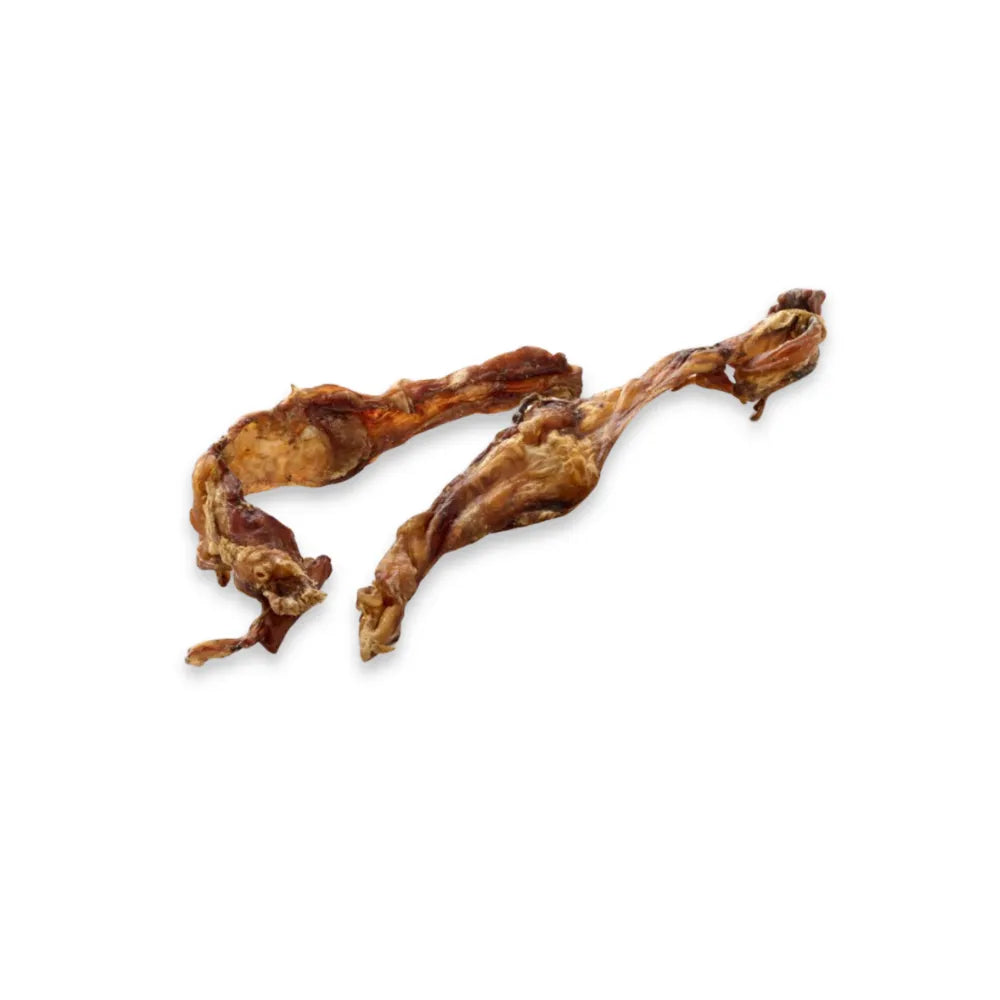 Tendon de cou de cerf – Mastication gourmande pour chien – 2 pièces