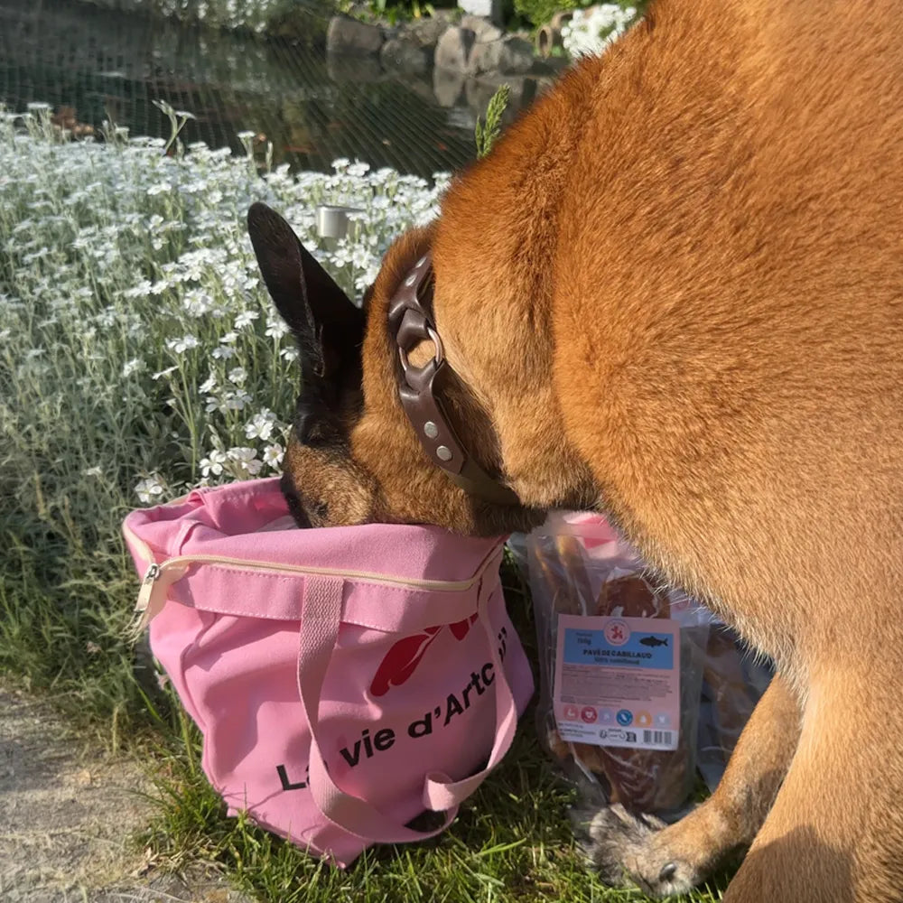 Tote bag A PET STORE – Sac en toile zippé rose avec poche intérieure