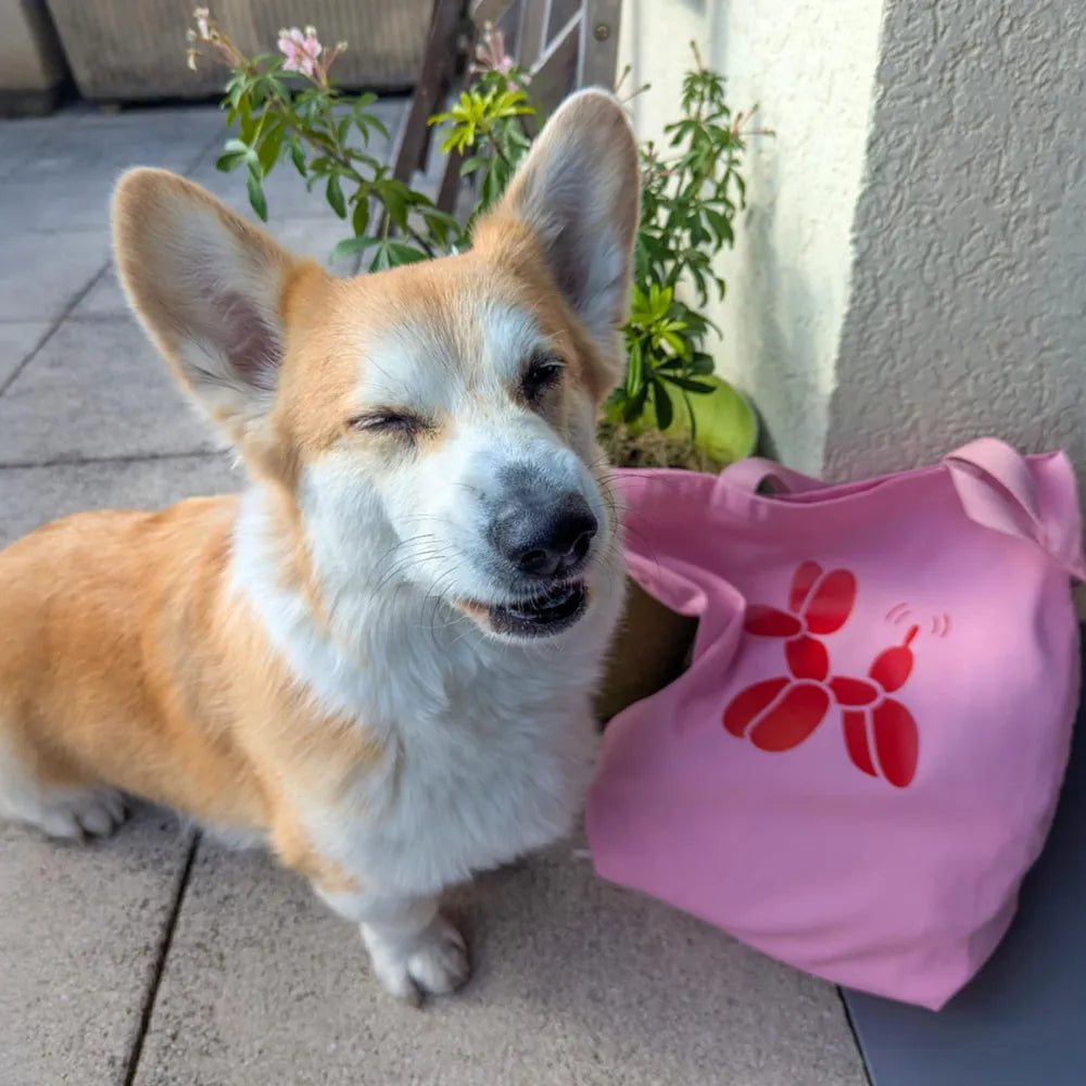 Tote bag A PET STORE – Sac en toile zippé rose avec poche intérieure