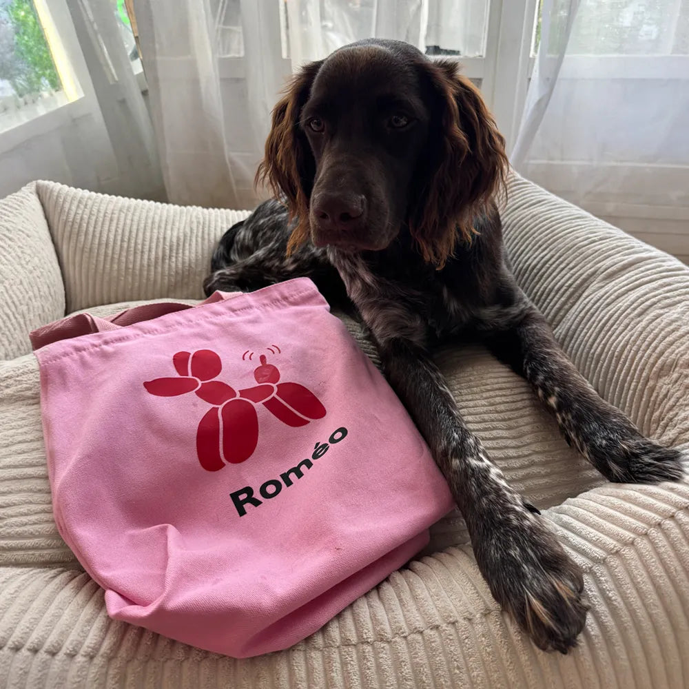 Tote bag A PET STORE – Sac en toile zippé rose avec poche intérieure