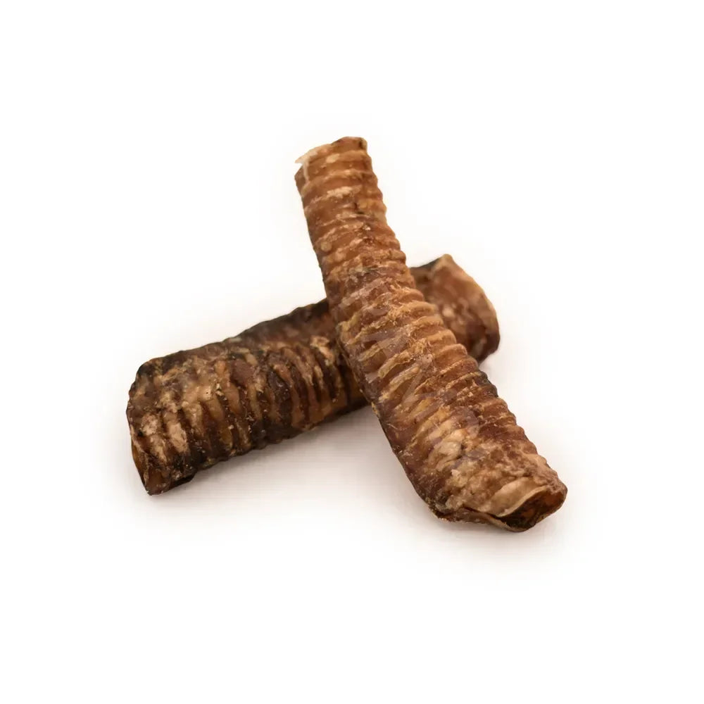 Trachée de boeuf chien 20cm – Mastication gourmande pour chiens