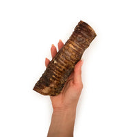 Trachée de boeuf chien 20cm – Mastication gourmande pour chiens