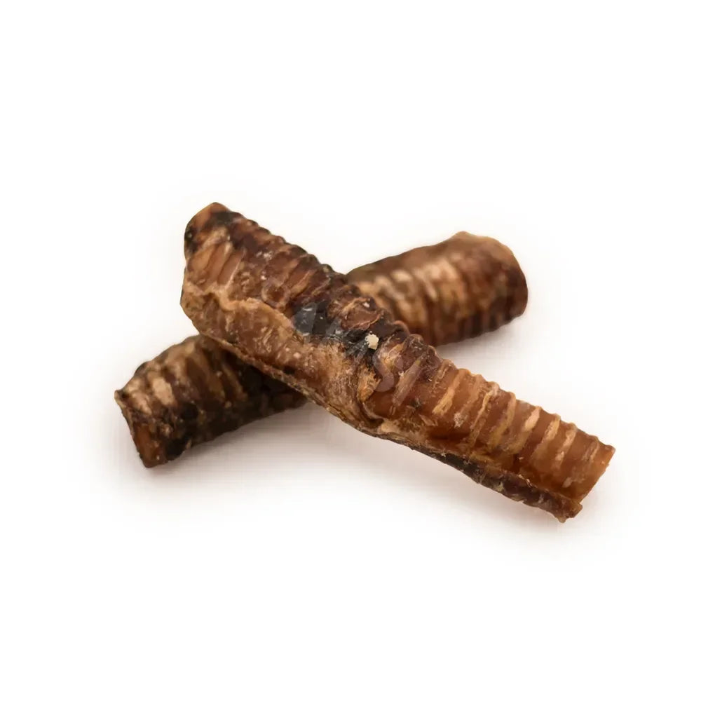 Trachée de boeuf chien 20cm – Mastication gourmande pour chiens