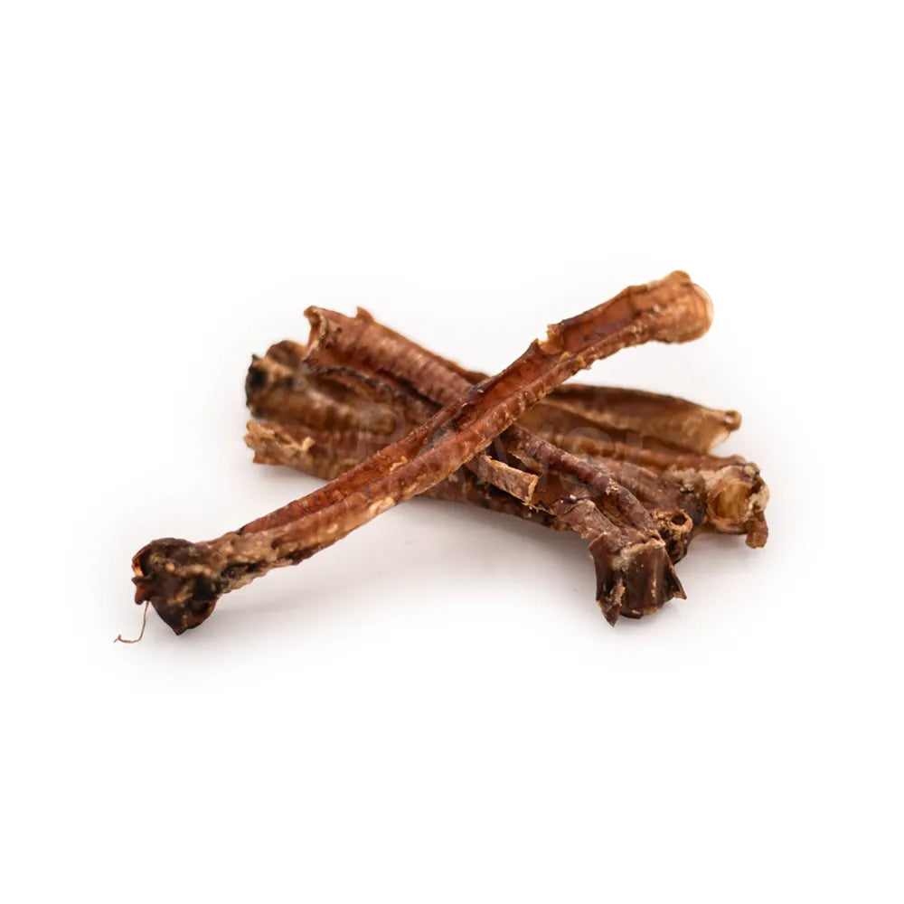 Trachée de chèvre – Mastication gourmande pour chien