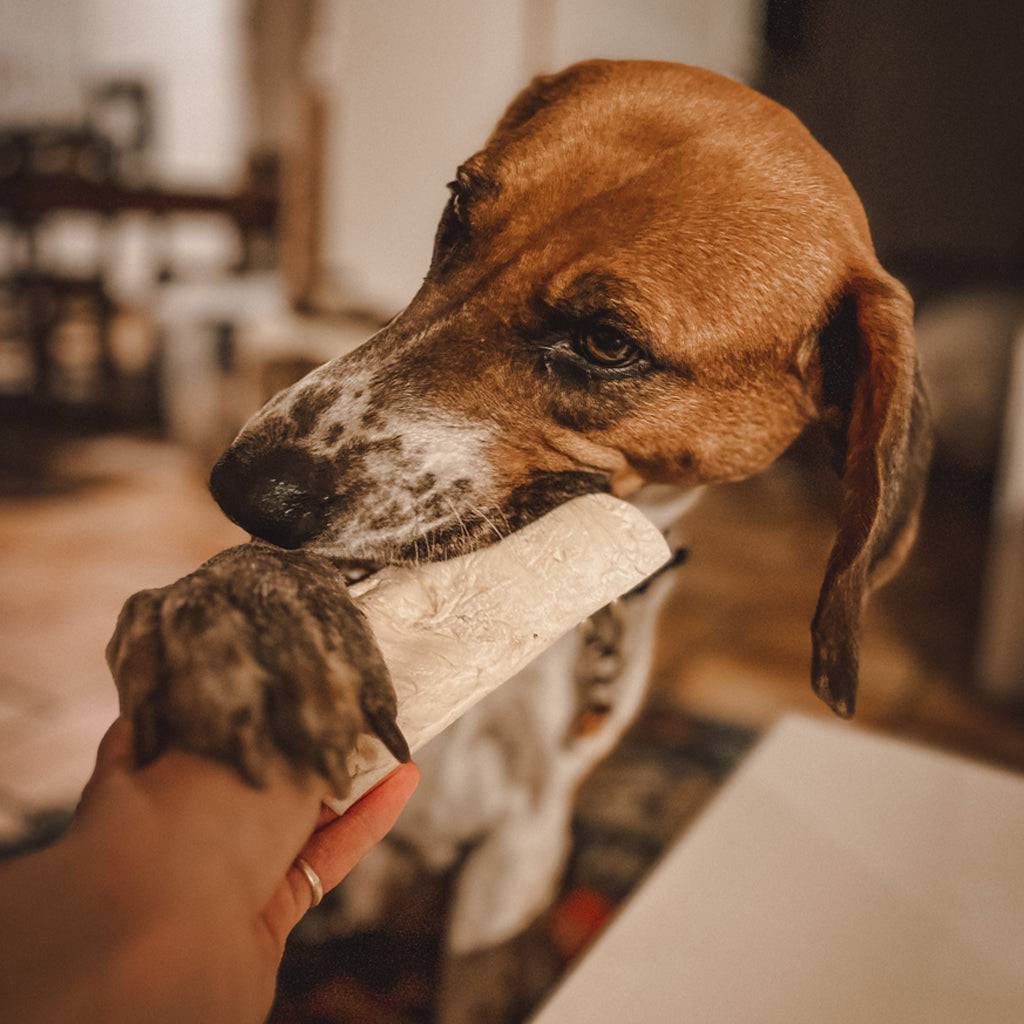 chips de buffle pour chien