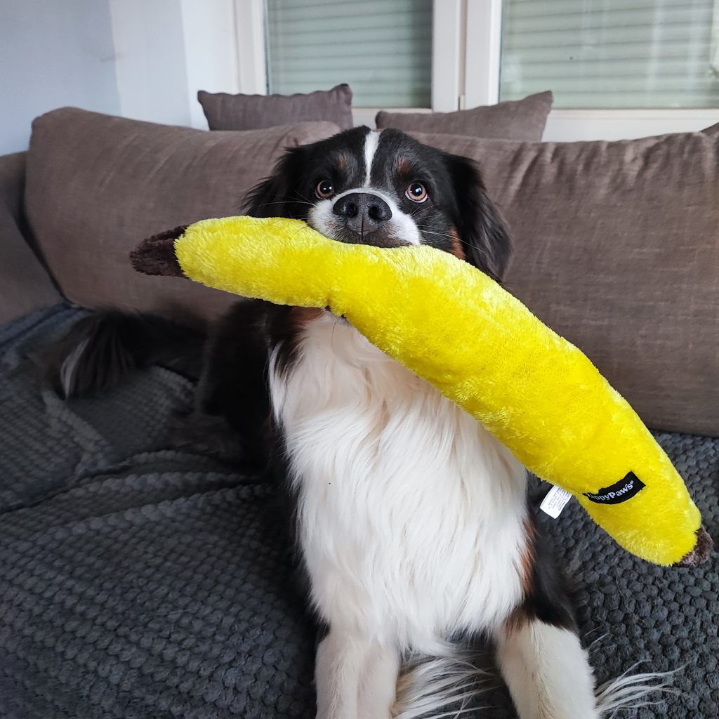 jouet pour chien banane zippypaws