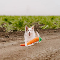 peluche veggie jigglerz carrot