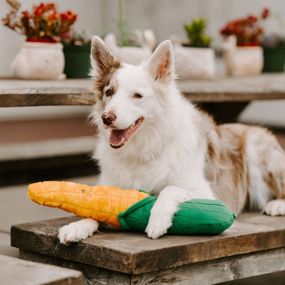 peluche pour chien XXL corn maïs