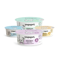 Yaourt pasteurisé sans lactose pour chats 🩷🩵🧡 – Gamme fonctionnelle – Yogupet – 110g