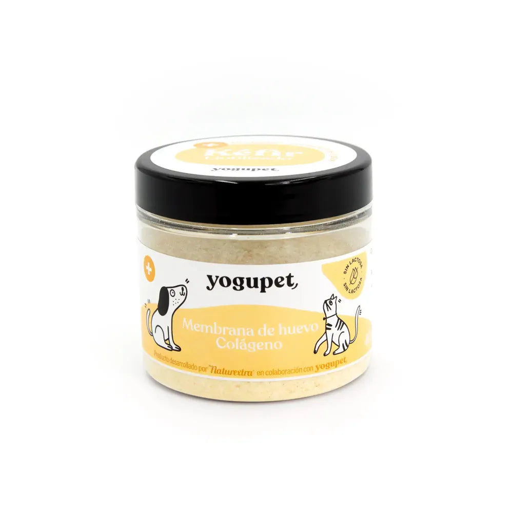 Kéfir lyophilisé Collagène et membrane d'oeuf – Aliment complémentaire pour chien et chat – Yogupet